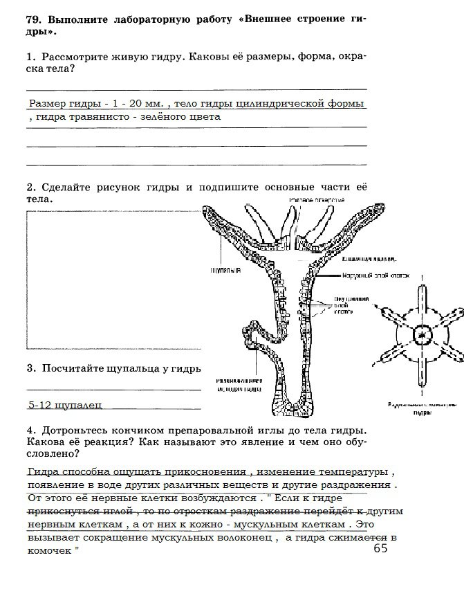 Кракен браузер ссылка