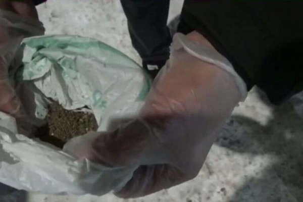 Ссылка на кракен свежая