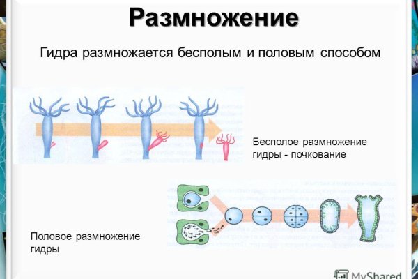 Вход на кракен
